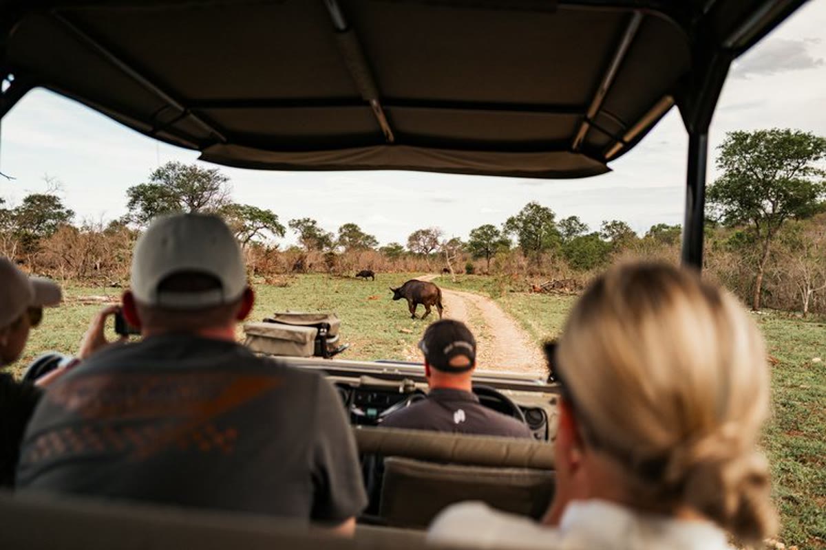 Safari en 4x4 privé dans le parc Kruger